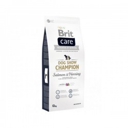 Brit Care Champion